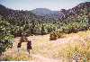 trail