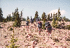 Mt. Phillips
