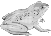 Dahinda.gif (15136 bytes)