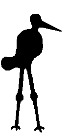 crane.gif (1955 bytes)