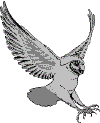 hawkeye.gif (4834 bytes)