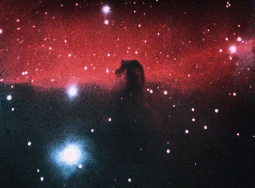 horsehead.jpg (27501 bytes)