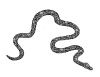 kaa5.gif (6167 bytes)
