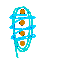 monkey2.gif (31437 bytes)