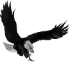 rann.gif (6864 bytes)