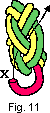 turkshead11.gif (879 bytes)