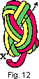 turkshead12.gif (998 bytes)