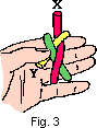 turkshead3.gif (994 bytes)