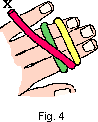 turkshead4.gif (1221 bytes)