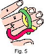 turkshead5.gif (1141 bytes)