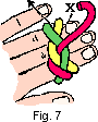 turkshead7.gif (1244 bytes)