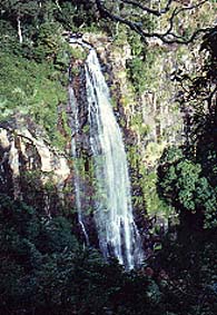 Lamington N.P