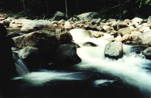 Ausable River 1