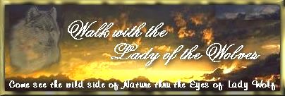 Lady Wolf