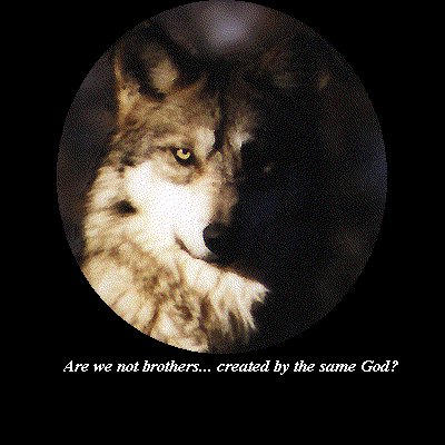 Wolf Brother