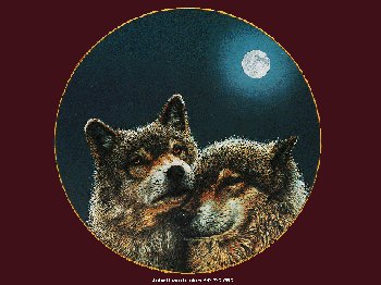wolf picture