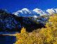 fall.gif (5548 bytes)