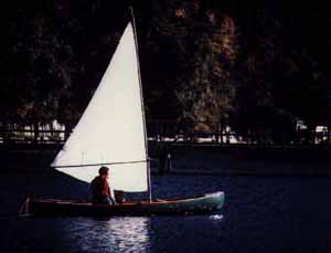 sailing the Loon
