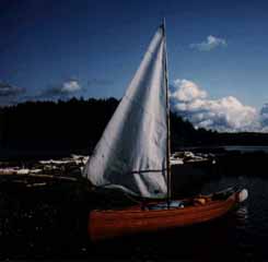 Island cruiser