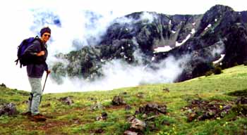 mt townsend