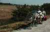 ride thumbnail