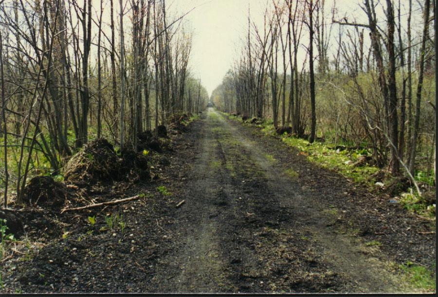 Westward from Lake 11 before the resurfacing.
