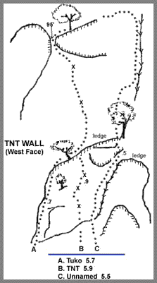to_d_tnt.gif (9494 bytes)
