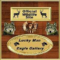 Wildlife Plaque