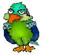 PARROT