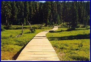 Board walk