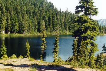 Circlet Lake