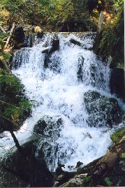 Karst Creek