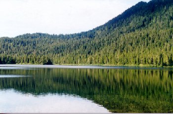 Lake Helen McKenzie