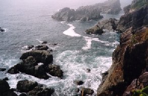 View of rocky shore from on the cliffs.