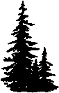 Pine trees