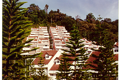 Fraser's Pine Resort