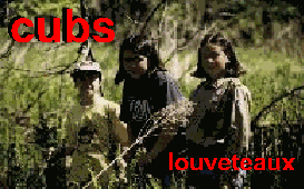 cubs/louveteaux