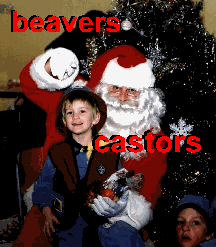 beaver/castor