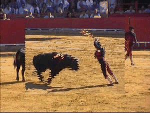 Ir a Vaquillas