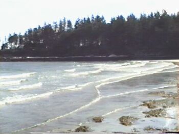 Tribune Bay