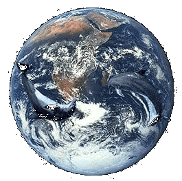 animated ocean animated nature themes