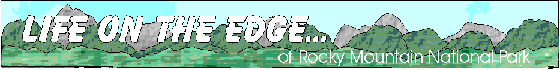Edge Banner