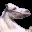 oli icon