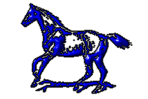 Horse_play
