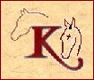 Kulacrosse