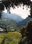 Terraced rice fields