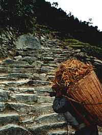 3,680 steps