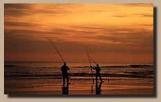 Surf Fishing Photo
