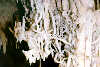 Helectites