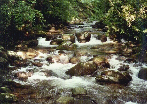 Stream